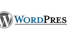 2015年上半年WordPress拒绝43%内容下架通知-神马VPS