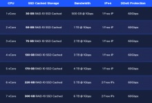 RackNerd洛杉矶Sharktech推出DDoS Protected KVM VPS-神马VPS