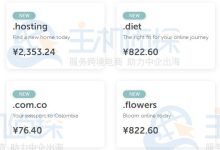 Namecheap上线八款新顶级域名 .com.co域名注册首年需76.4元-神马VPS