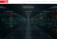SpeedeHost:俄罗斯/荷兰/瑞典/保加利亚托管VPS,可选Windows,2个IP,18.7美元/月起-神马VPS