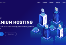 SoftShellWeb中国台湾/荷兰/美国VPS:24美元/年起,支持支付宝-神马VPS