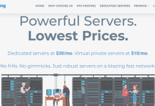 reprisehosting：西雅图月付低于30美元的便宜独立服务器简单测评-神马VPS