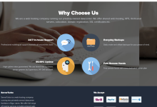 ServerTurbo拉脱维亚vps:1核1G/30GB硬盘/无限流量/1Gbps/可Windows/9.95美元/月-神马VPS