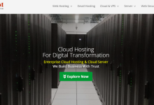 ControlVM马来西亚独服：E3-1230v2/16G内存/2TB 硬盘/5TB月流量/100Mbps/69美元/月-神马VPS