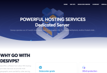 DesiVPS荷兰/美国Windows VPS:8美元/月,每月可免费换一次IP/中文操作系统/支持支付宝-神马VPS