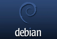 debian11更新出错,E: The repository ‘http://security.debian.org bullseye/updates Release’ does not have a Release file.-神马VPS
