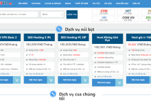 HostingViet越南VPS六五折：114元/半年，206元/年，可选Windows2012操作系统-神马VPS