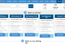 HostingViet越南VPS：1核1G/20GB SSD/无限流量/150Mbps/可选Windows/224元/年-神马VPS