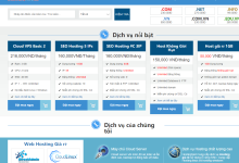 HostingViet越南VPS七折:214元/年,无限流量/可选Windows系统-神马VPS