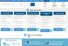 HostingViet越南VPS五折:1核2G/20GB SSD/无限流量/150Mbps/162元/年,可选Windows-神马VPS