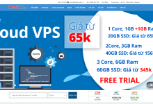 Hostingviet越南VPS中秋节五折促销:162元/年,支持支付宝/Paypal,越南原生IP解锁NetFlix/Tiktok-神马VPS