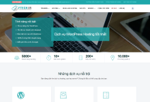 Ftech越南VPS:2核2G/20GB SSD/无限流量/100Mbps/12.5美元/月,可选Windows2016/2019-神马VPS
