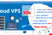 双十一#Hostingviet越南VPS五折:162元/年,支持支付宝/Paypal,越南原生IP-神马VPS