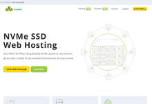 SteadyTurtle美国达拉斯VPS:2核6G/40GB NVMe/1TB流量/1Gbps/9.95美元/月,可选Windows系统-神马VPS