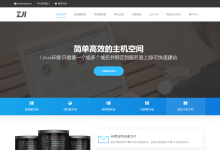ZjiNet:香港独立服务器(葵湾机房),450元,e3-1230/16g内存/480gSSD/10M带宽/2个IP-神马VPS