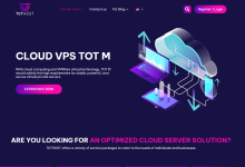 不限流量越南VPS:tothost,8折优惠低至$25/年,VMware虚拟,100Mbps带宽-神马VPS
