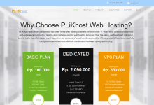 PLiKhost印度尼西亚VPS:1核2G/40GB硬盘/无限流量/33美元/月,全托管机型-神马VPS