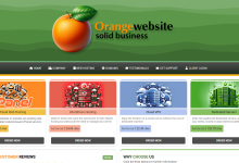 OrangeWebsite冰岛VPS:允许匿名注册/拒绝NSA监视/无视DMCA抗投诉,支持Paypal/比特币-神马VPS